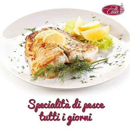 Cesa 2* Feltre
